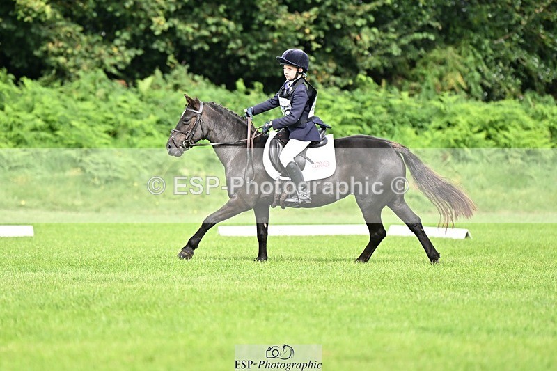 230826-102034-16441 - Sections A & B 10 to End