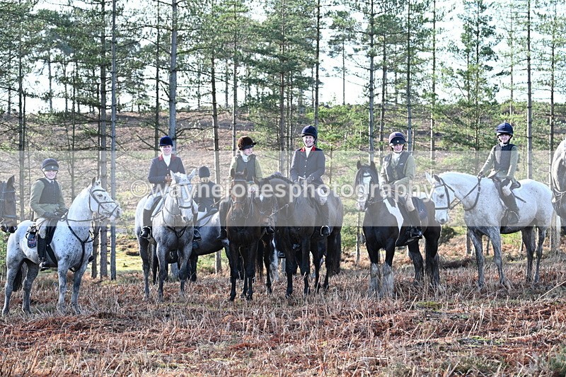 WJ7_7136 - Line 3 (no line 4 or 5)