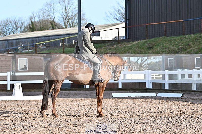 250125-102624-00183 - Dressage - CT Class 4 BE95 (80cm)