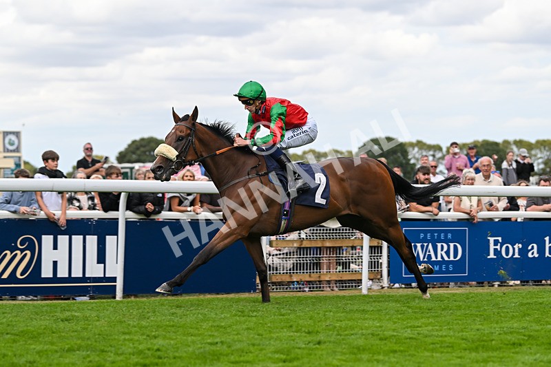 300825-Race 5-High On Hope-1493 - Race 5