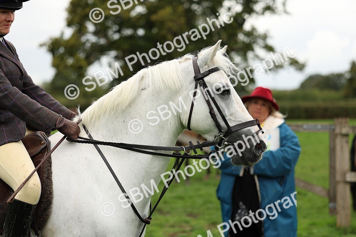 SBM_41822 - S32 - Mountain & Moorland Working Hunter Pony