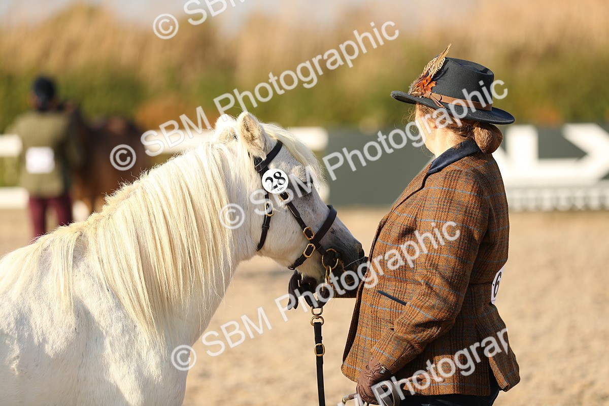 SBM_08961 - Class 29 IH Veteran Pony