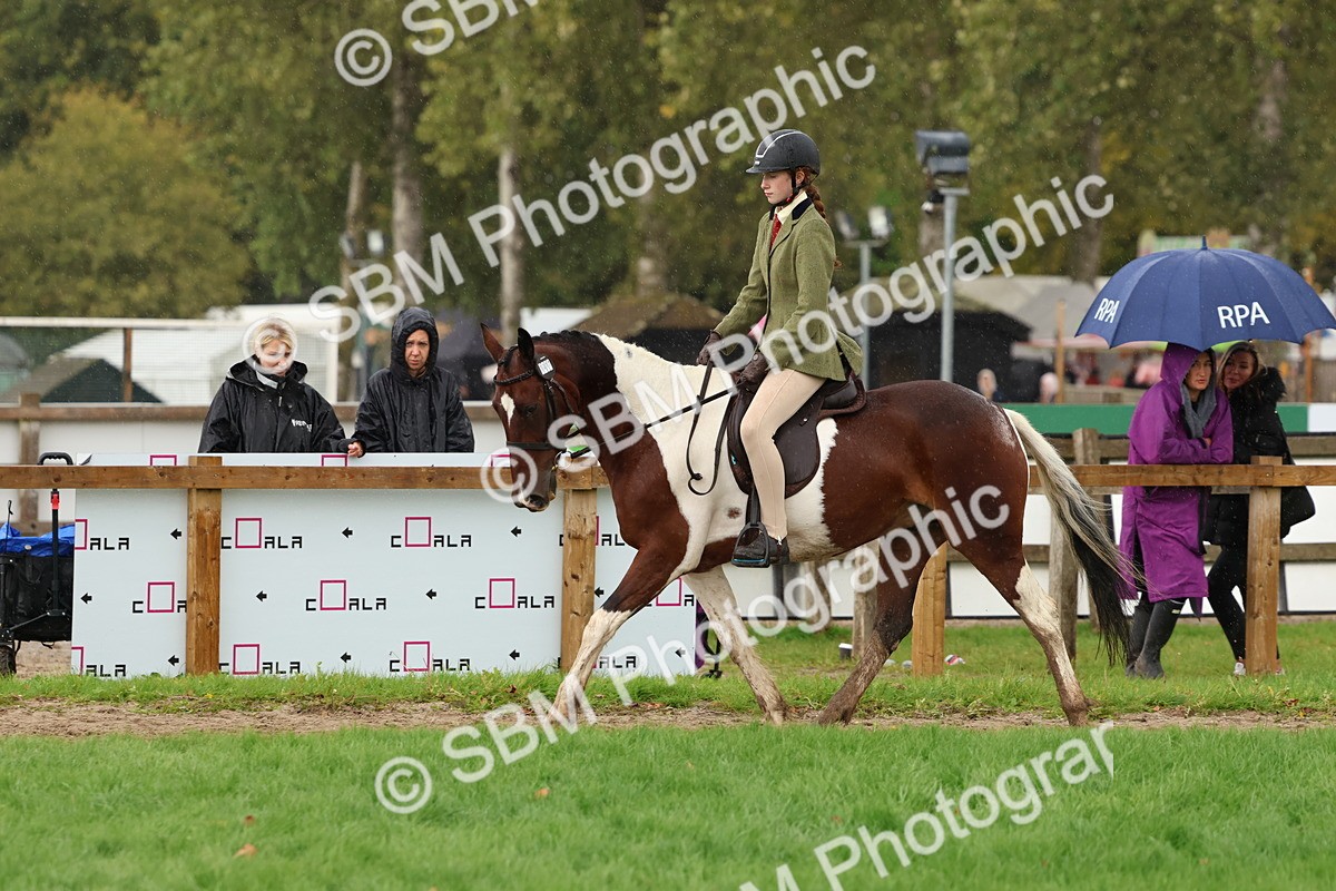SBM_45077 - S27 - Young Veteran Ridden