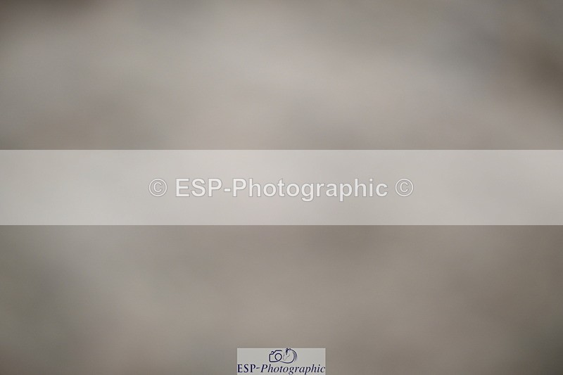 240611A-163625-00251 - 50cm