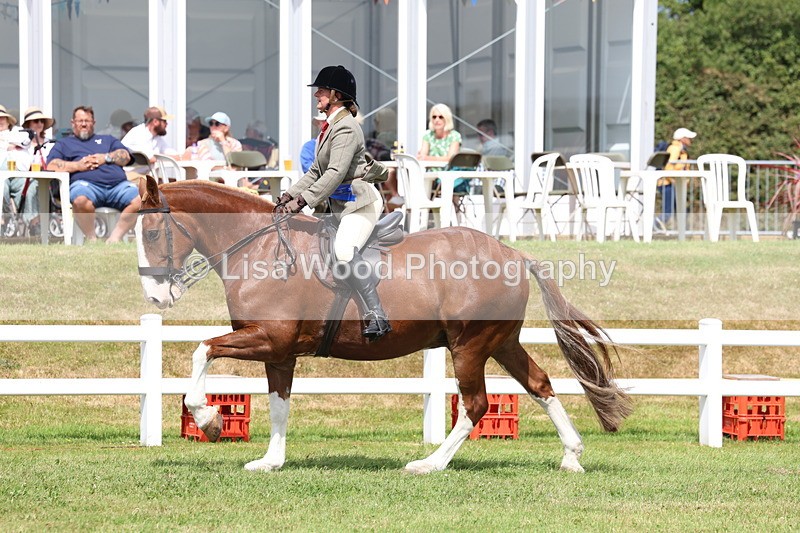 3E7A0567 - Rising Star Ridden Championship