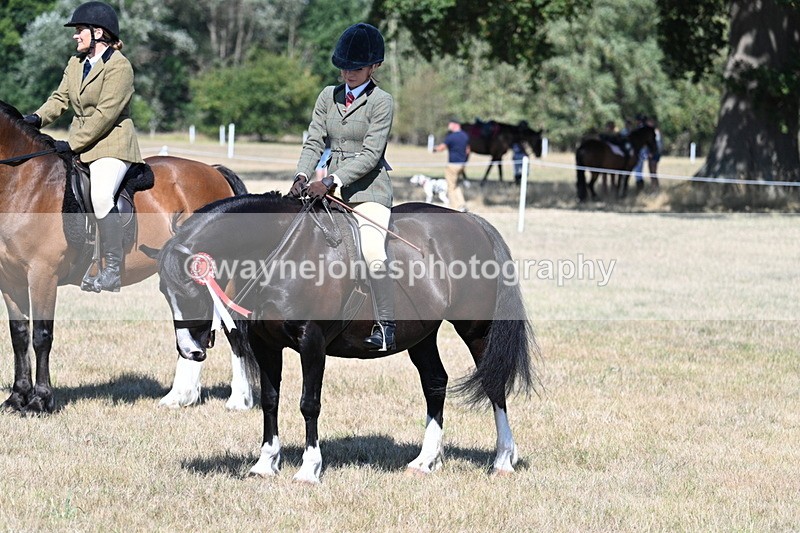 WJ7_4128 - Class 9 Mountain & Moorland Ridden