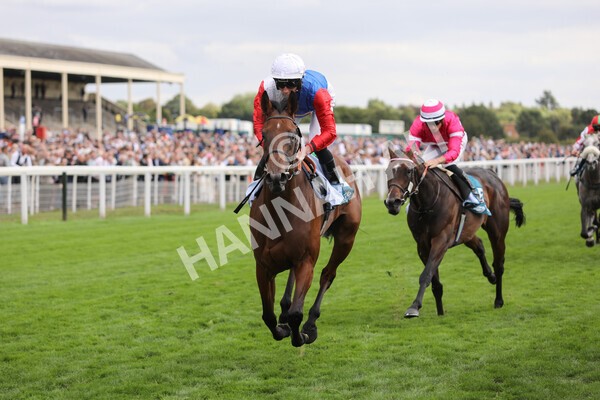 yr19082022r5-26 - Race 5 4.10pm Assured Data Protection EBF Fillies' Stakes