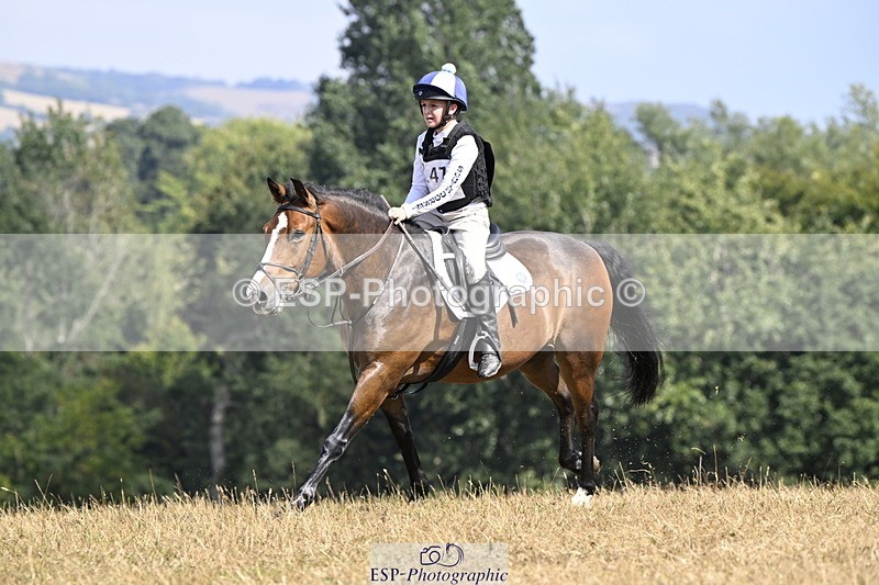 250824A-145230-38847 - 2147-George.Walford-meadow.sweet.conker