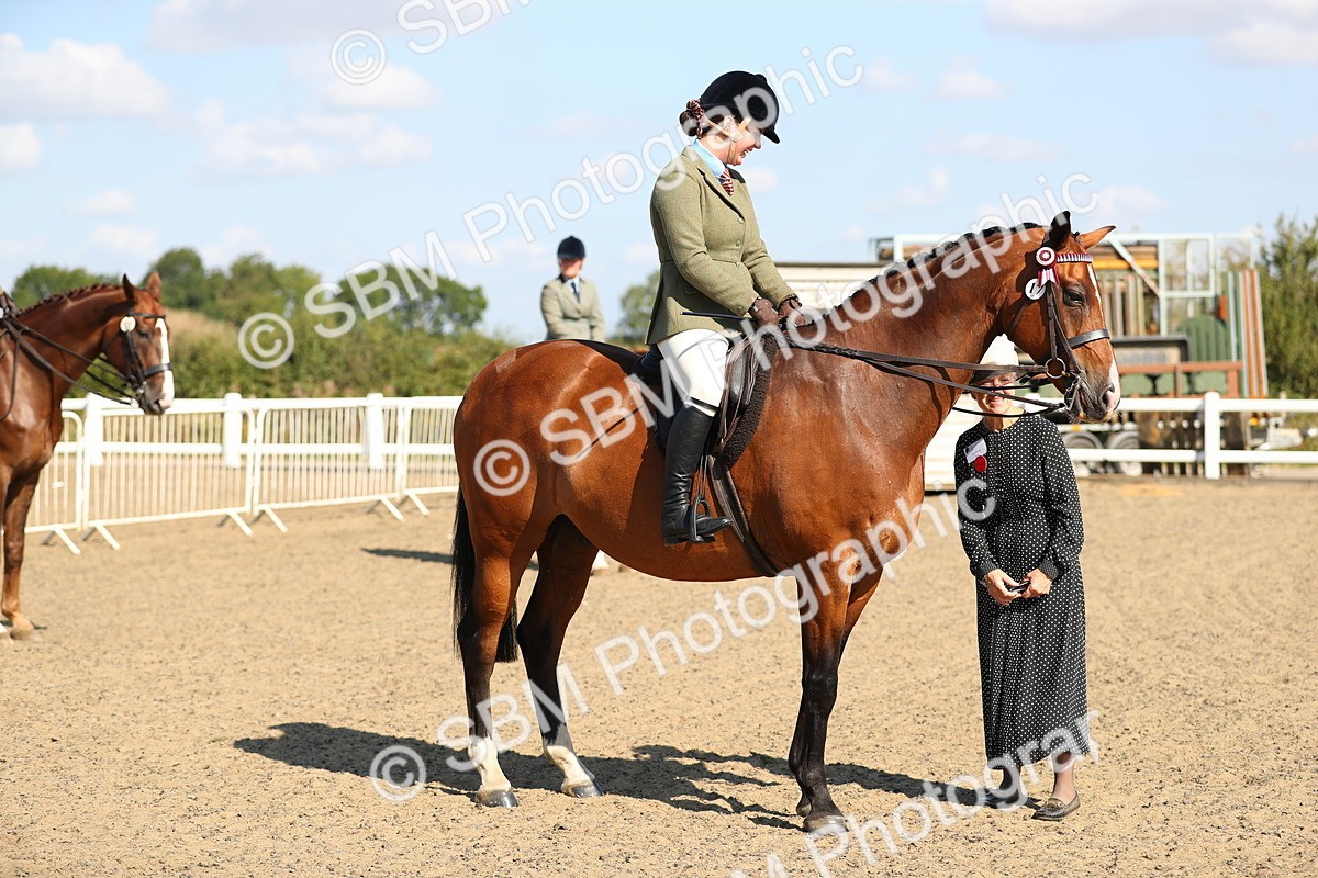 SBM_02348 - Class 43 Ridden Competition Horse/Pony