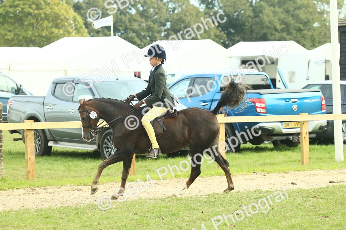 SBM_68073 - S57 - Part Bred Pony Ridden