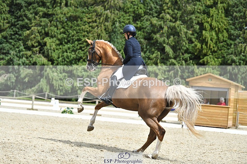 230812-144427-04787 - Cls 7 FEI PSG Bronze