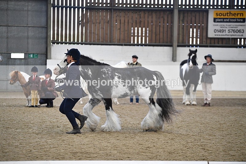 WJ5_4694 - Class 7 In hand coloured / odd coloured