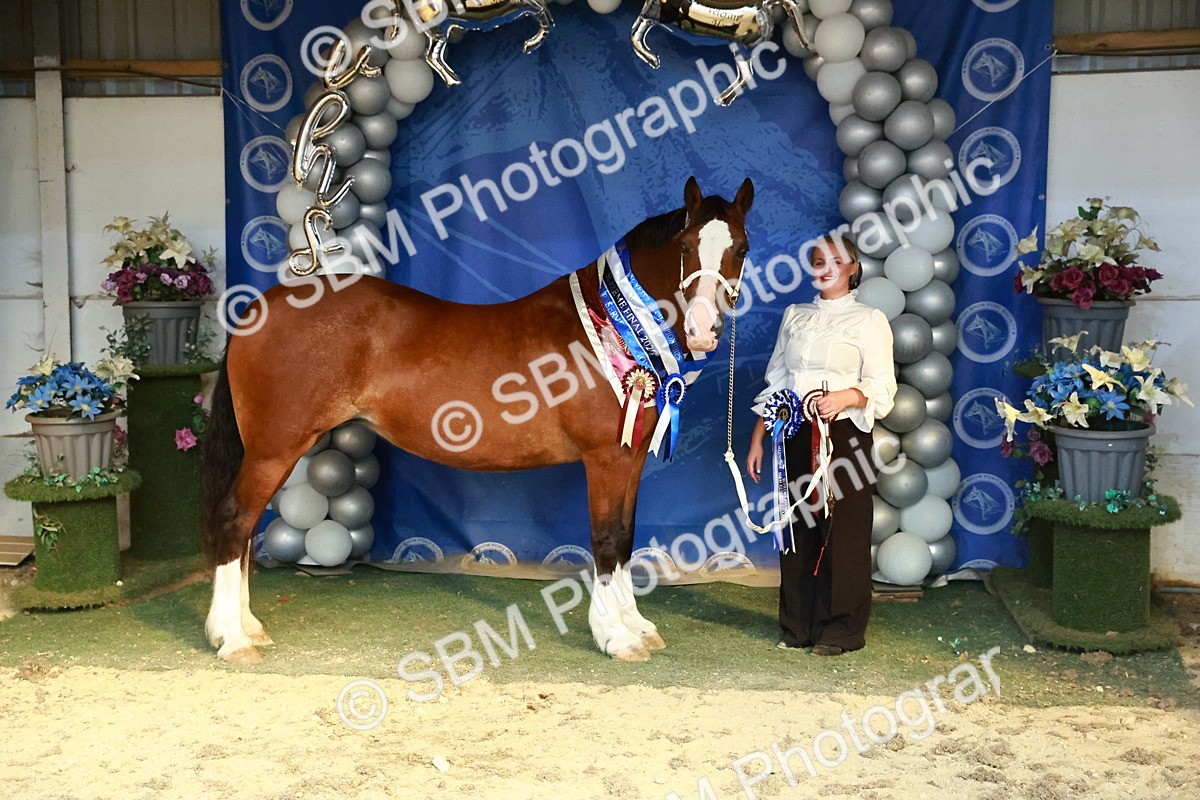 SBM_17987 - M&M Supreme Final Champ