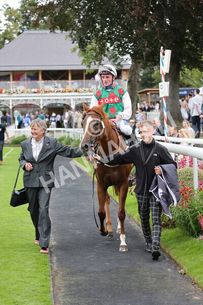 yr18082021r6-40 - Race 6 4.45pm IRE-Incentive It Pays To Buy Irish Stakes