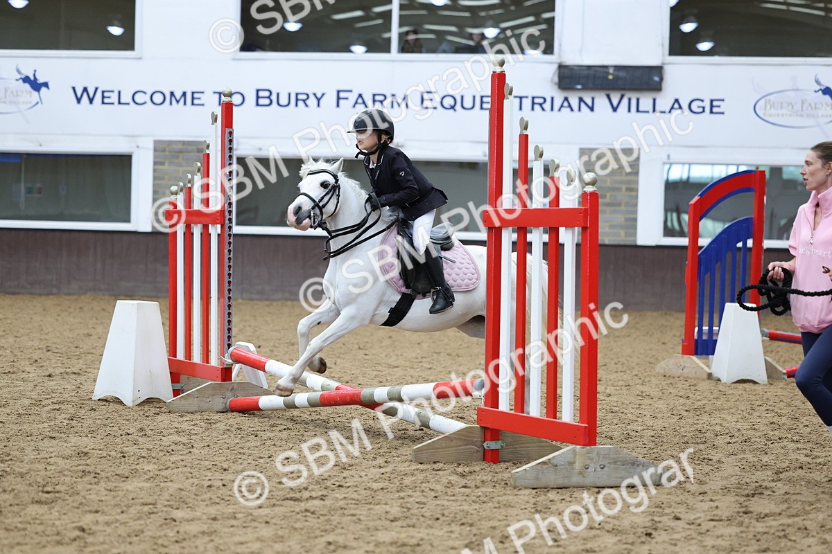 SBM_006953 - Class 1 - 40cm showjumping
