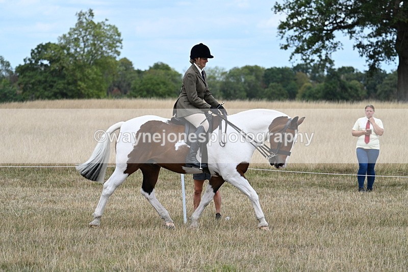 WJ7_4850 - Class 12 Ridden Cob
