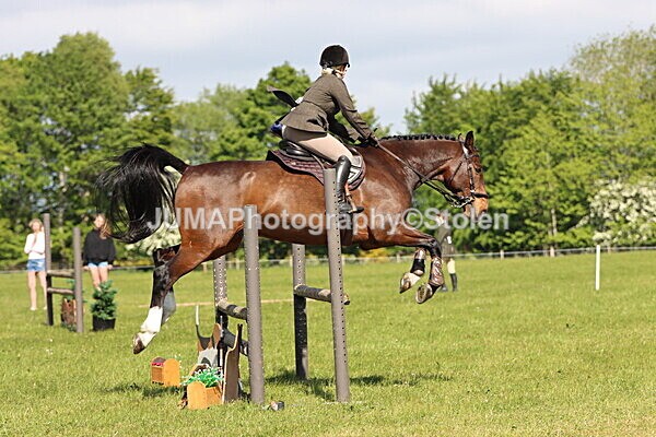 IMG_4791 - Working Hunter
