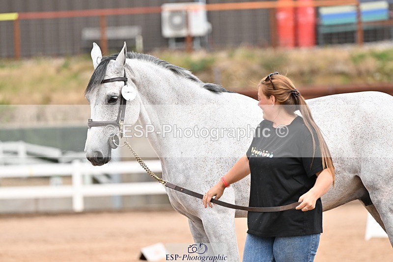 250716-154656-02185 - Trot Up 3.30 to 4.30