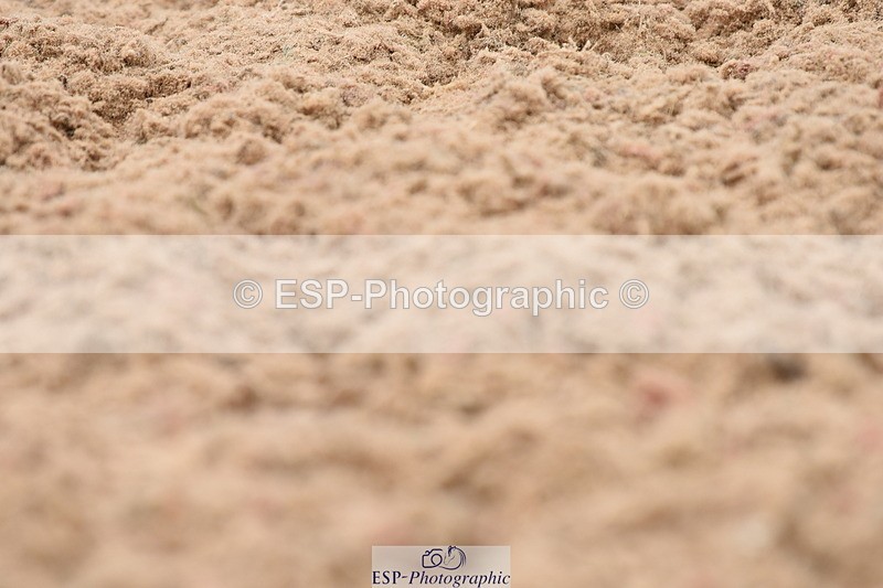 230630A-122634-01223 - Cls 4 Novice 23 11.40 to End
