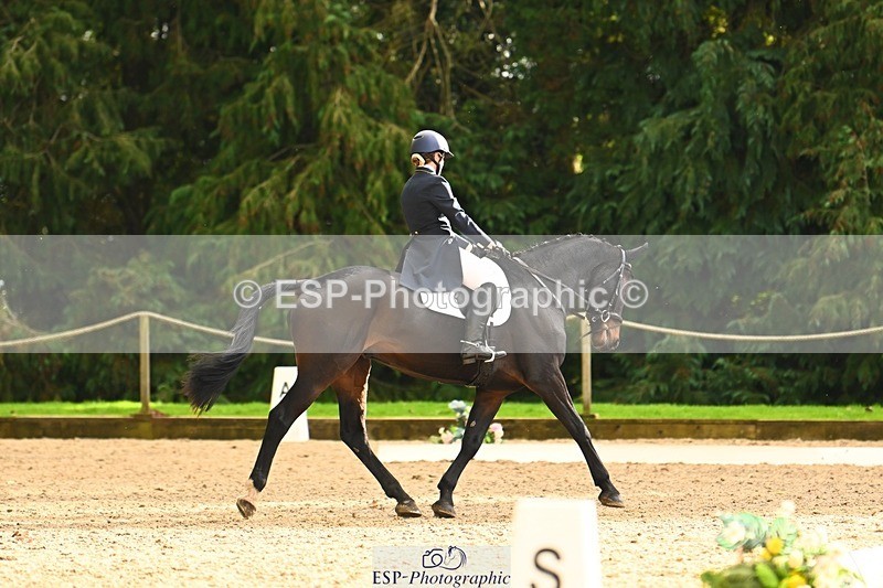 231021-153215-20886 - 259-BOSTON.IV-Rosie.Thomson-DR