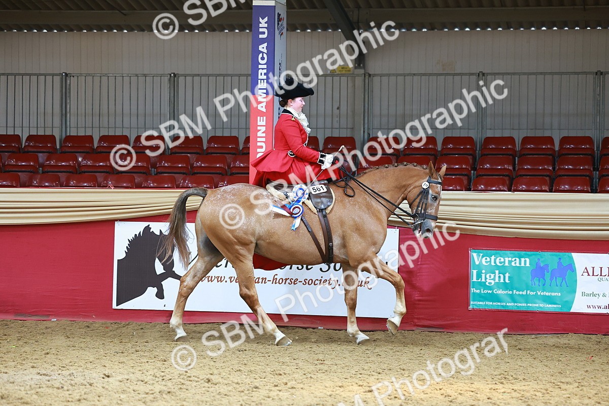 SBM_13924 - Class 106 - Ridden Costume - Side Saddle