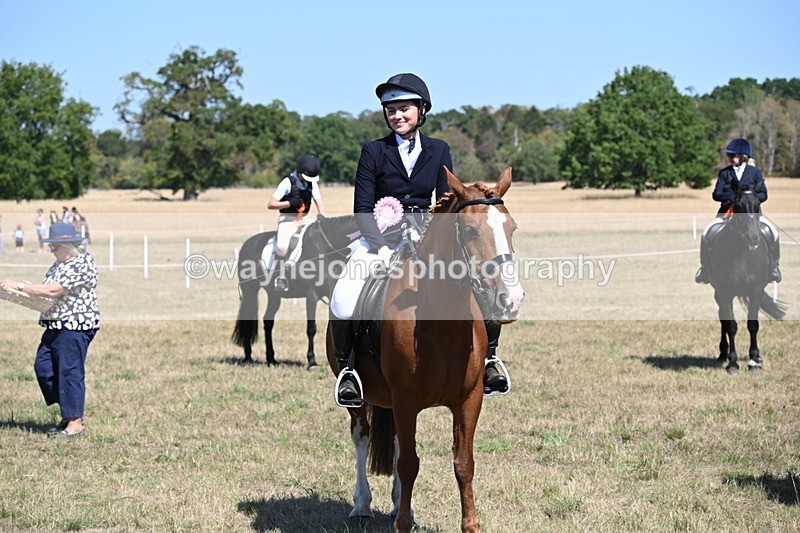 WJ6_8514 - Class 37a Best Loan Pony Ridden