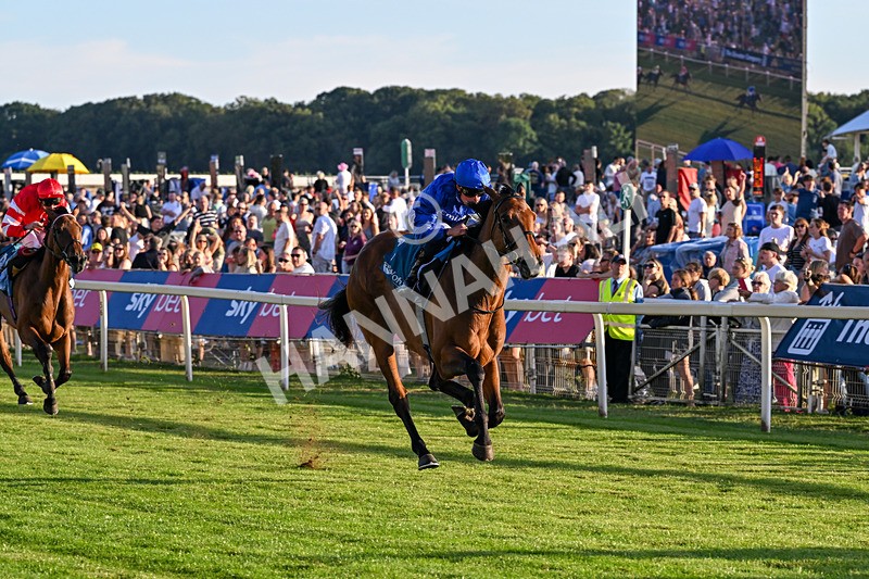 240726-Race 5-Diamond Rain-5493 - Race 5 19.50pm British EBF Lyric Fillies' Stakes