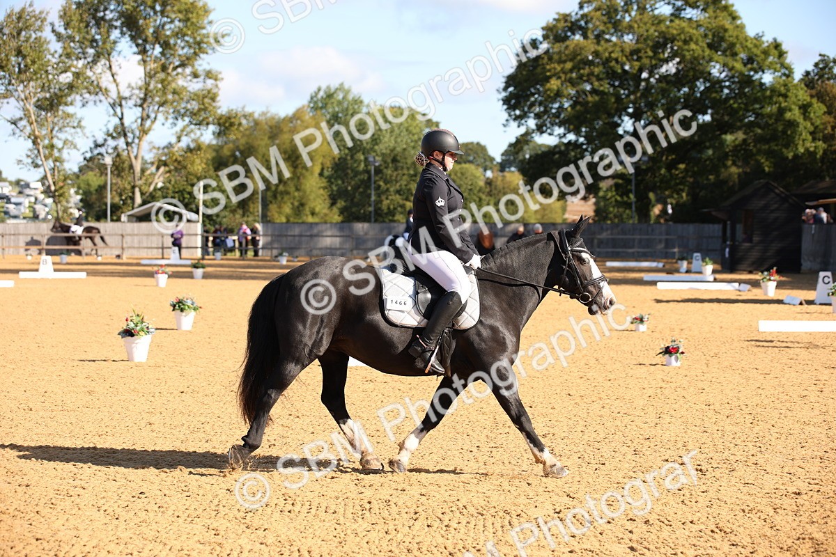 SBM_01923 - D2 Small Tour Championship Intro C