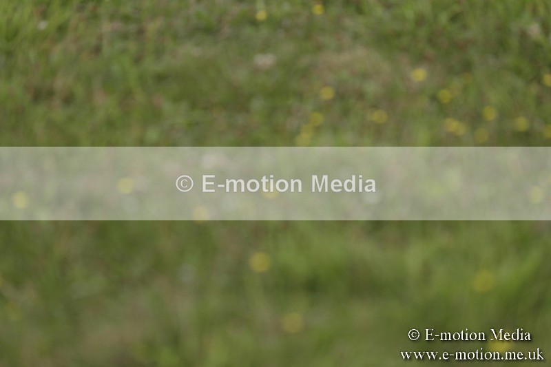 BVR160717-630 - Class 1 & 23a Dressage 16/07/17