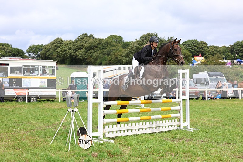 3E7A6937 - Class 5: Senior British Novice/90cm open