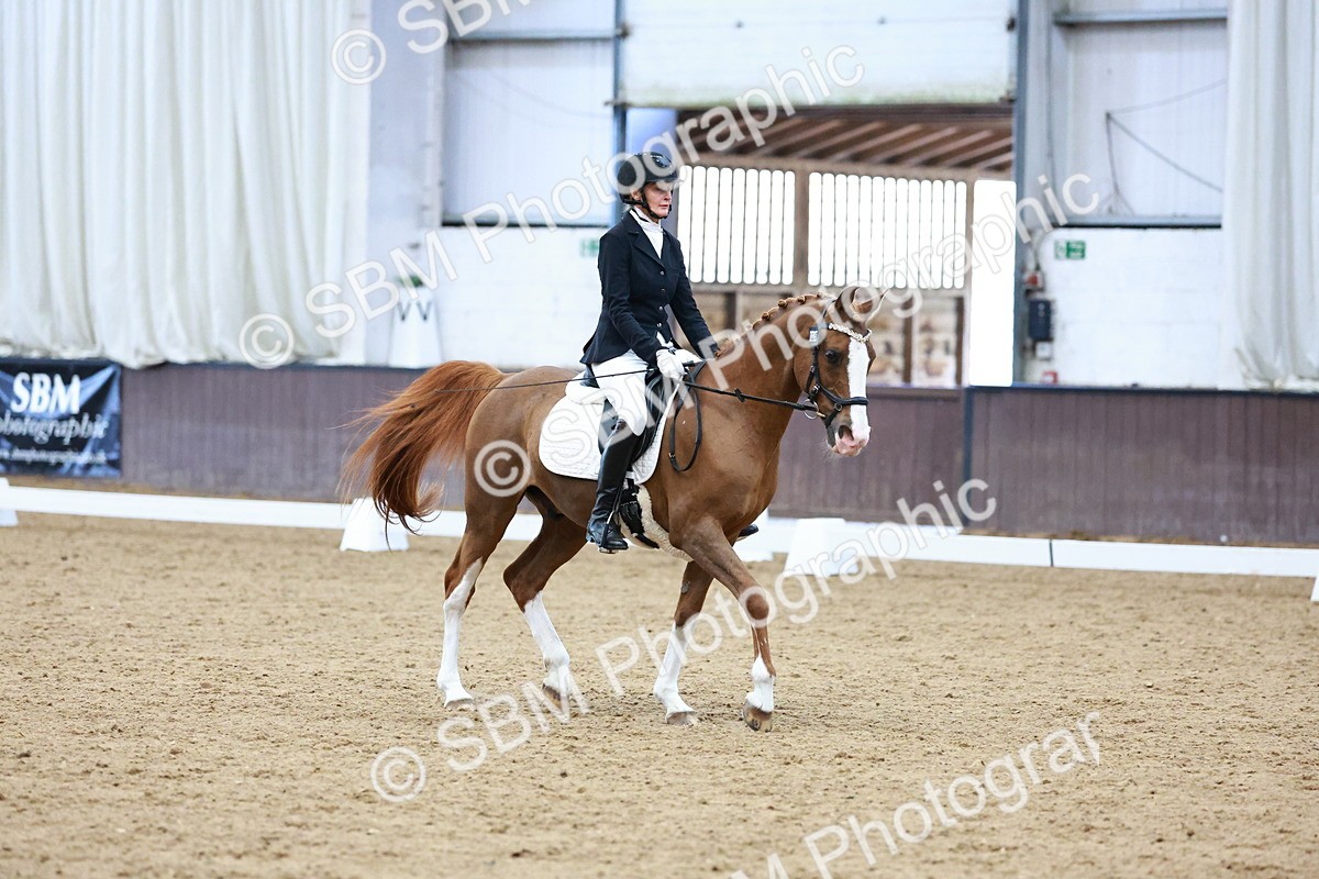 0B8A8074 - Class 5 - Novice 2