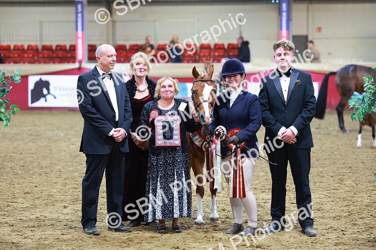 SBM_14923 - Class F - IH Small Champ