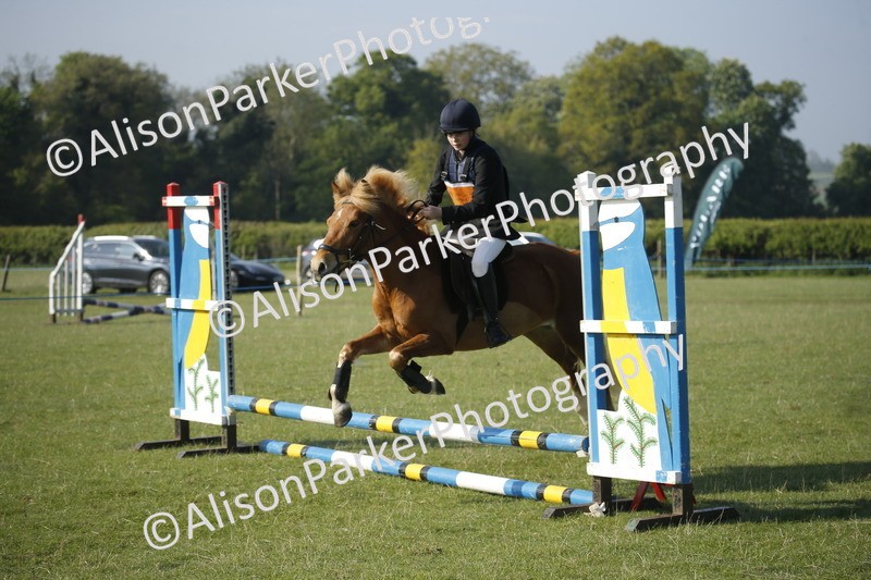 20250427-0250 - Class 12 - Rookie Jumping 40cm