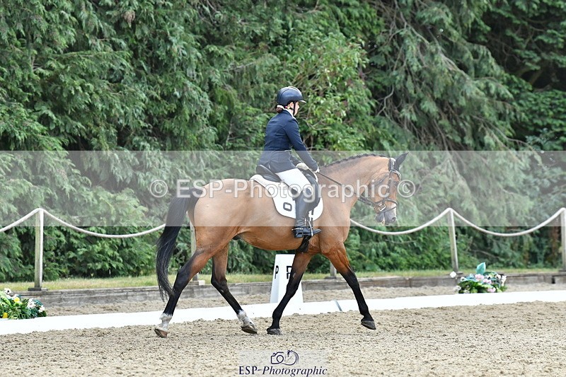 260801A-114503-03667 - Prelim Bronze Break - End