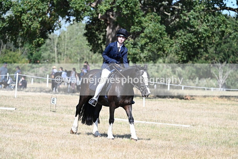 WJ7_0234 - Time 11:03 to 11:28