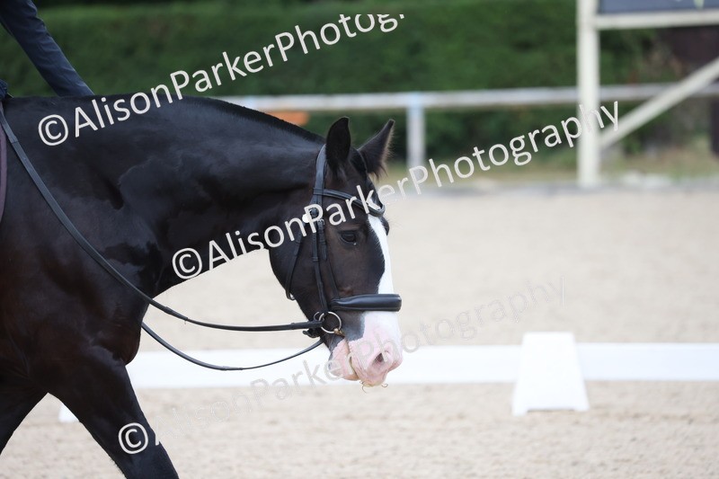 20250706-0010 - Class 1 - TQ Open Intro test 2