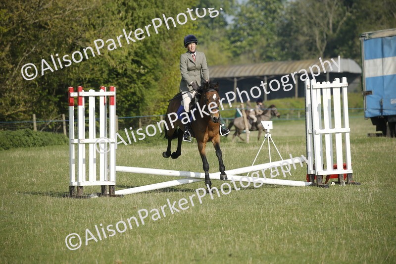 20250427-0230 - Class 12 - Rookie Jumping 40cm