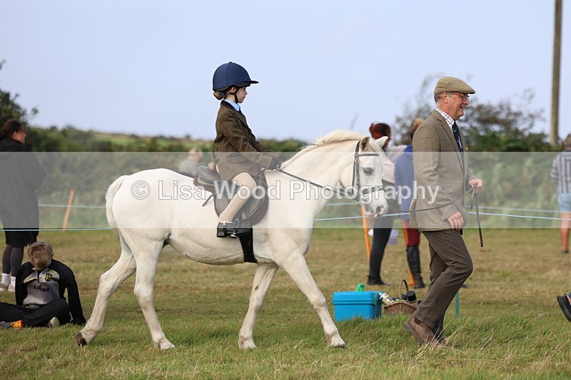 3E7A3322 - Class 2: Lead rein