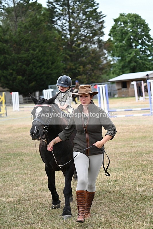 WJ7_9847 - Class 1 Lead Rein Pony
