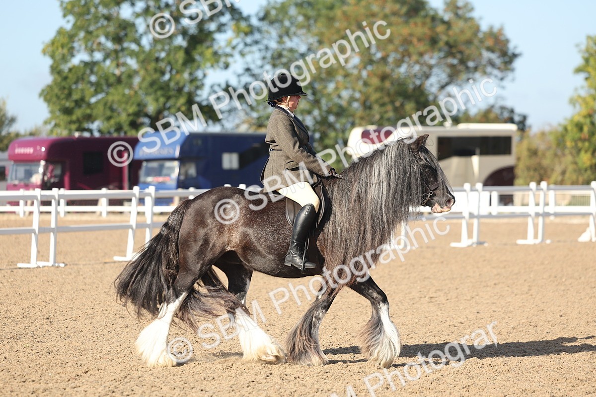 SBM_22197 - Class 802 - Ridden Groom Helpers Class