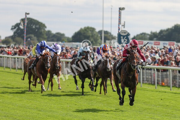 yr18082021r4-72 - Race 4 3.35pm Juddmonte International Stakes (British Champion Series race)