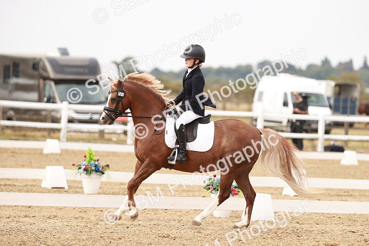 SBM_000313 - Class 1 - Prelim 5 - 9.30-10.19