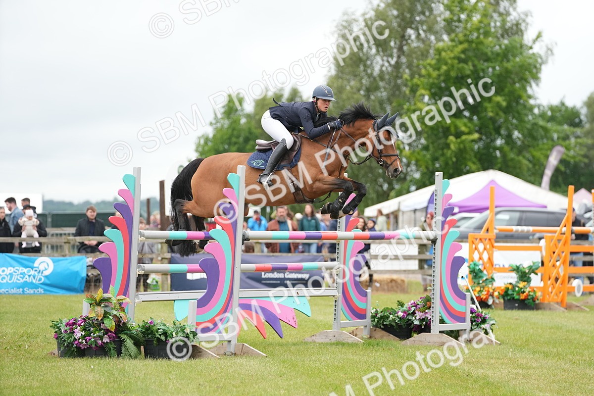 SBM_03454 - Class 201 - British Horse Feeds Speedi Beet Horse of the Year Show Grade  C