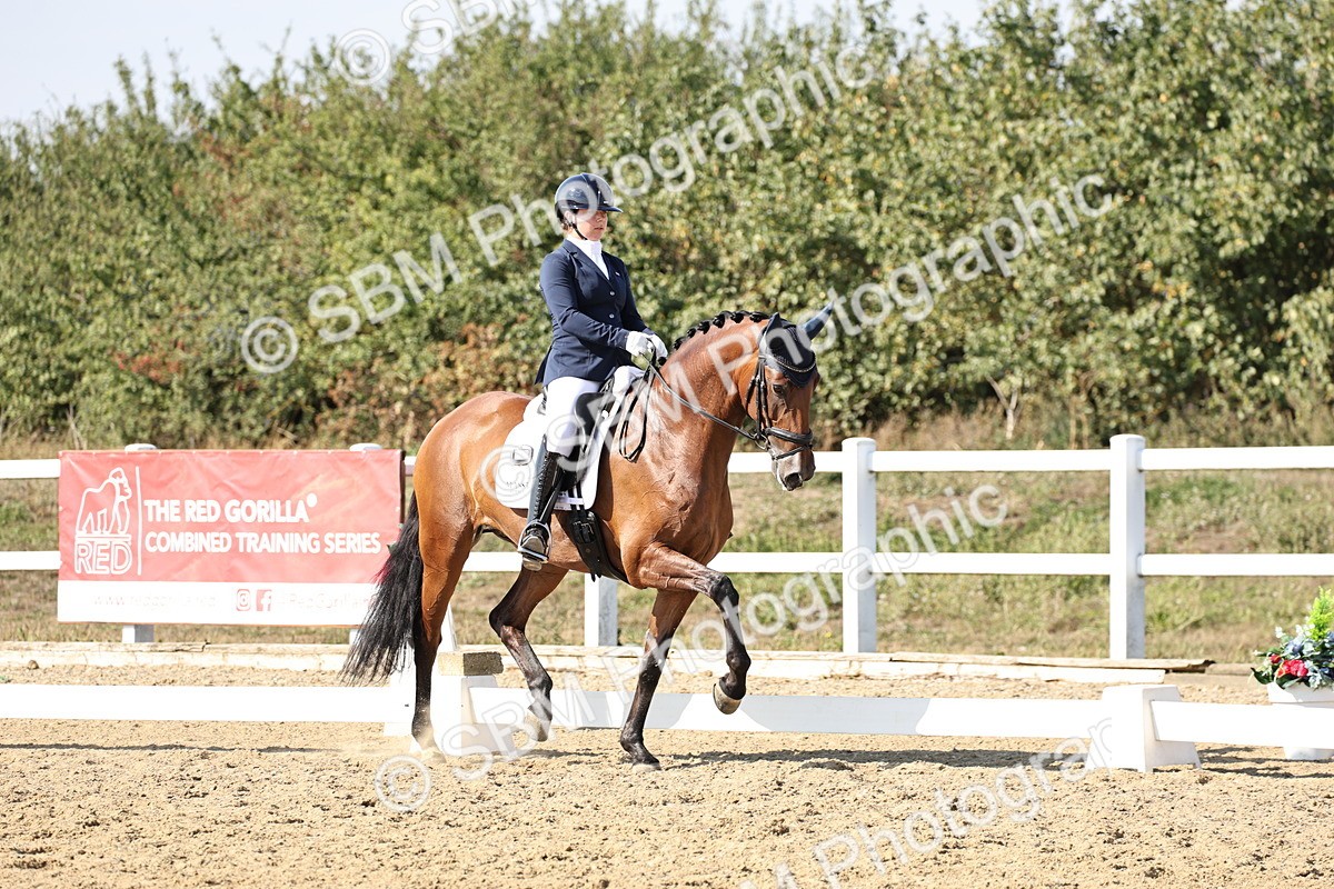 SBM_015305 - Class 9 - Advanced medium 3