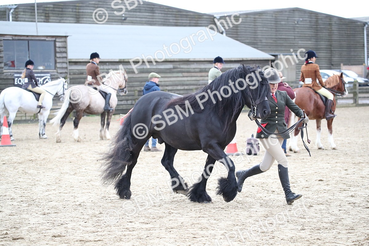 SBM_007252 - Class 10-13 - RIHS Small Large Breeds