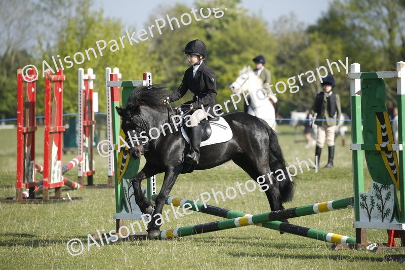20250427-0322 - Class 12 - Rookie Jumping 40cm