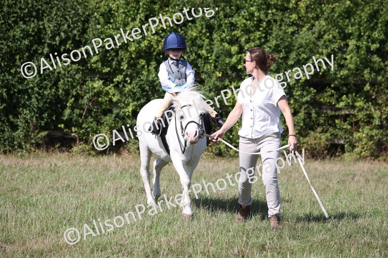 20260906-2364 - Class 16 - Family Pony