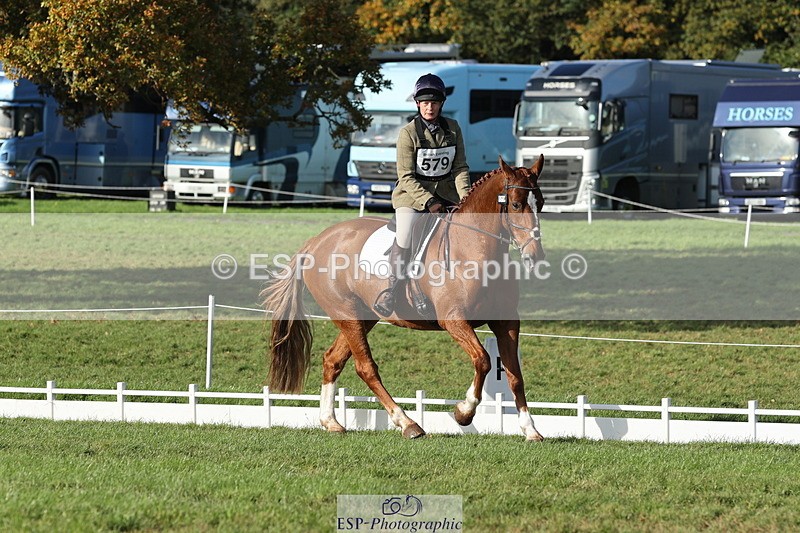 251024A-152205-14410 - G-579-Amy.Newton