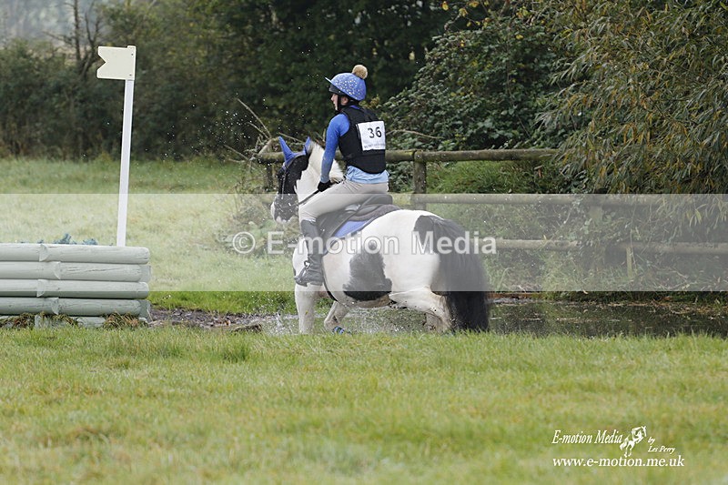 WWHT 171021 0670 - Novice Restricted (0.80m)  17/10/21
