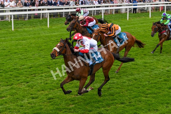 250524-Race 7-Feel The Need-4389 - Race 7 5.05pm Alf Duffield Memorial Handicap